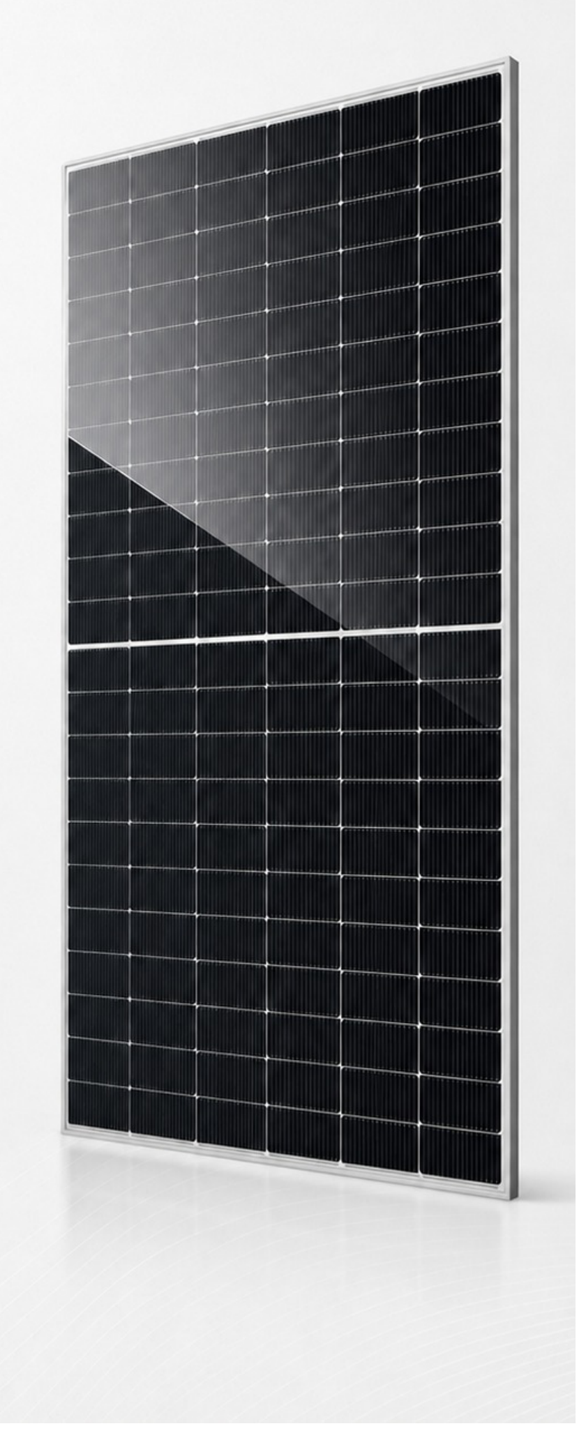 NPV740W Double Glass Bifacial Module